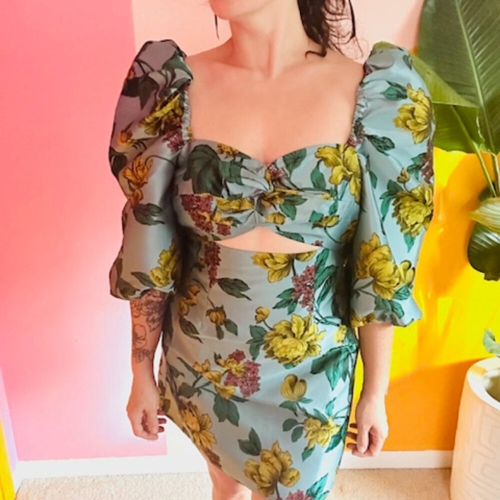 ASOS Salon Floral Jacquard Puff Sleeve Cut Out Dress - 8